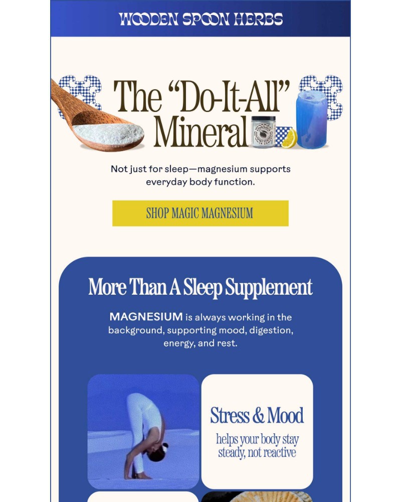 Screenshot of email sent to a Wooden Spoon Herbs Newsletter subscriber