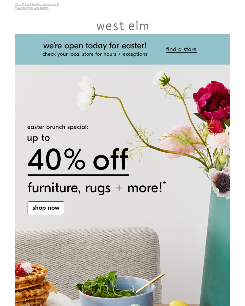 Screenshot of email with subject /media/emails/better-than-a-chocolate-bunny-up-to-40-off-furniture-rugs-more-cropped-51bd942e.jpg