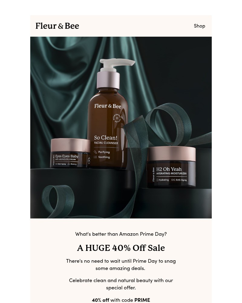 Screenshot of email with subject /media/emails/better-than-prime-day-yep-save-40-a78f23-cropped-74e61362.jpg