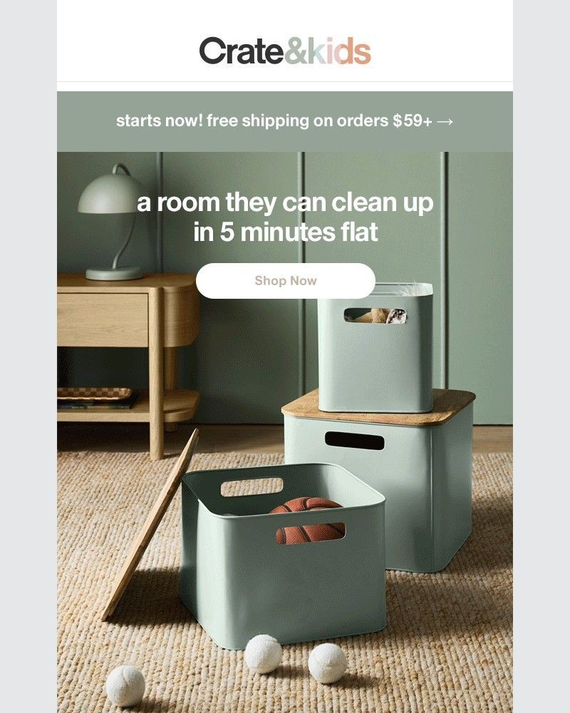 Screenshot of email with subject /media/emails/beyond-bins-baskets-clever-storage-ideas-560e87-cropped-f2e41172.jpg