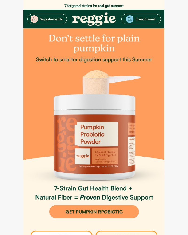 Screenshot of email with subject /media/emails/beyond-pumpkin-what-your-dogs-gut-actually-needs-0e6ff5-cropped-9bdaa4c6.jpg
