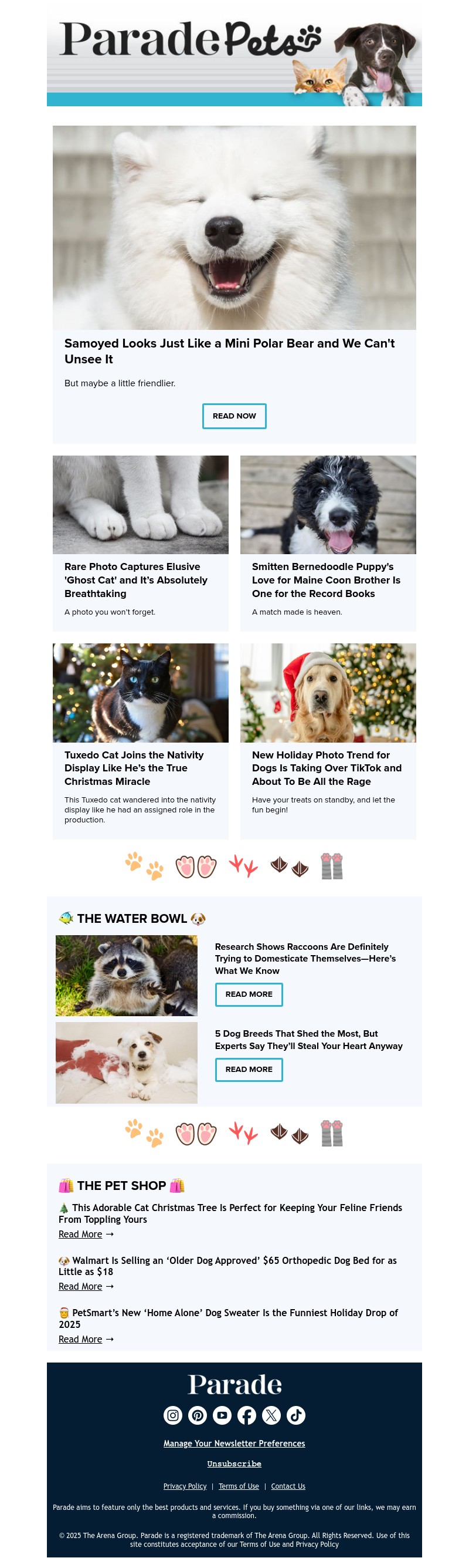Screenshot of email with subject /media/emails/bf50102f-2eeb-4ece-aaa7-56cdd6fce446.jpg