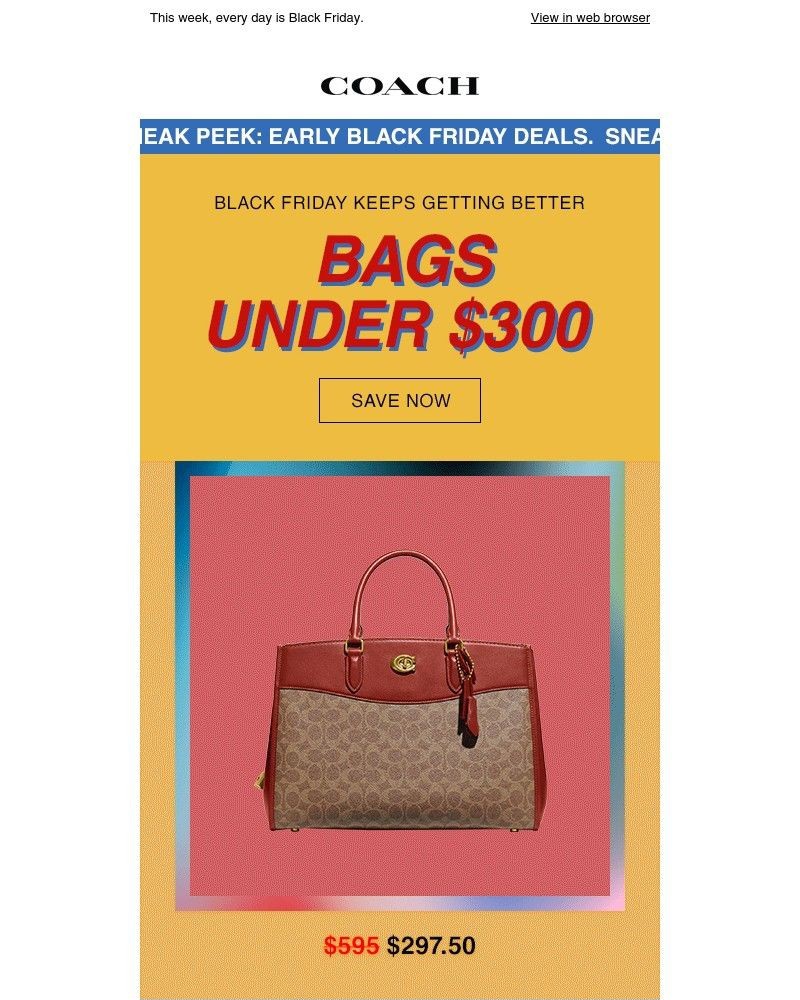 Screenshot of email with subject /media/emails/bfd-black-friday-deals-these-wont-last-42580e-cropped-f0579959.jpg