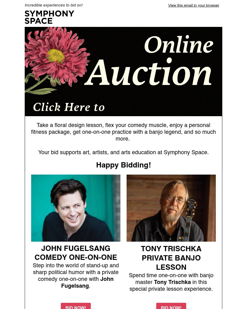 Screenshot of email with subject /media/emails/bid-now-tony-trischka-john-fugelsang-meg-wolitzer-more-7dc622-cropped-cd8c8851.jpg