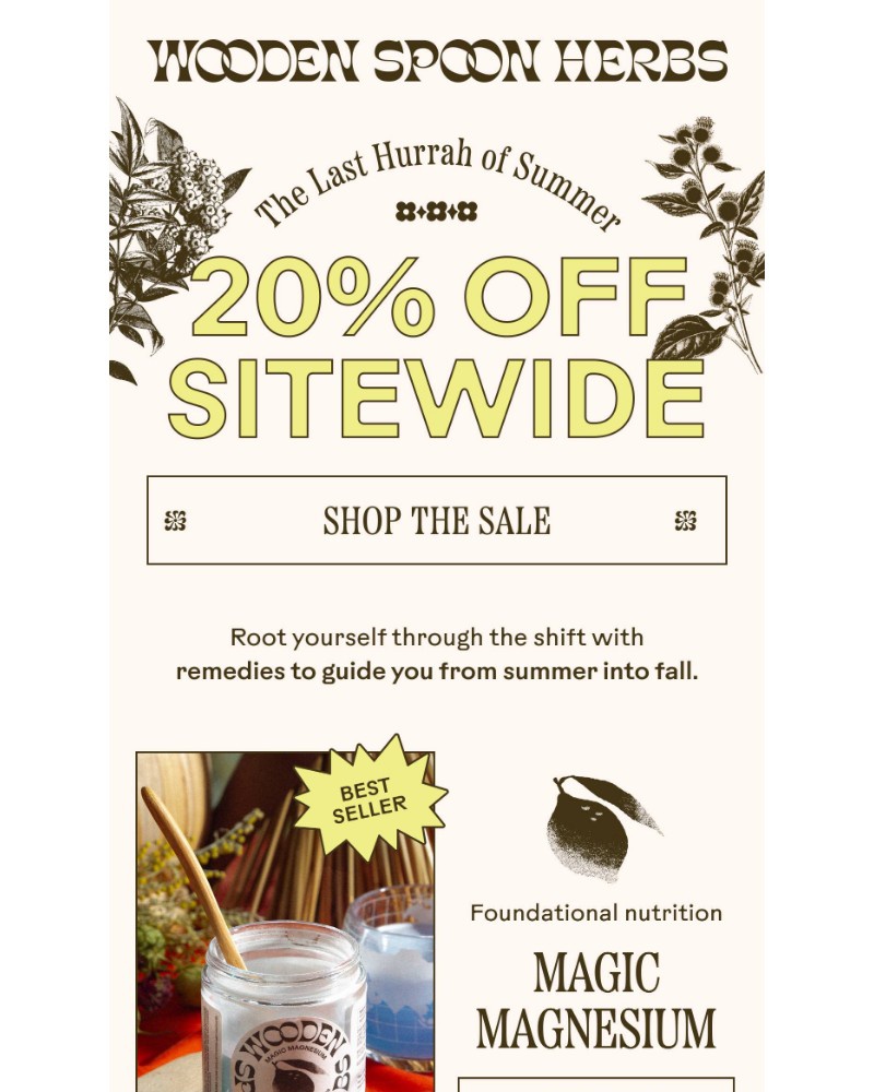 Screenshot of email with subject /media/emails/bidding-summer-farewell-with-20-off-132cf8-cropped-afd06b9f.jpg