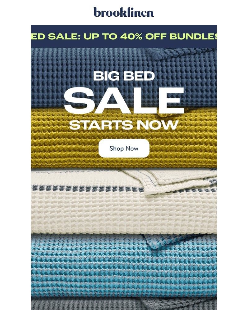 Screenshot of email with subject /media/emails/big-bed-sale-starts-now-df6a17-cropped-ac2c79af.jpg