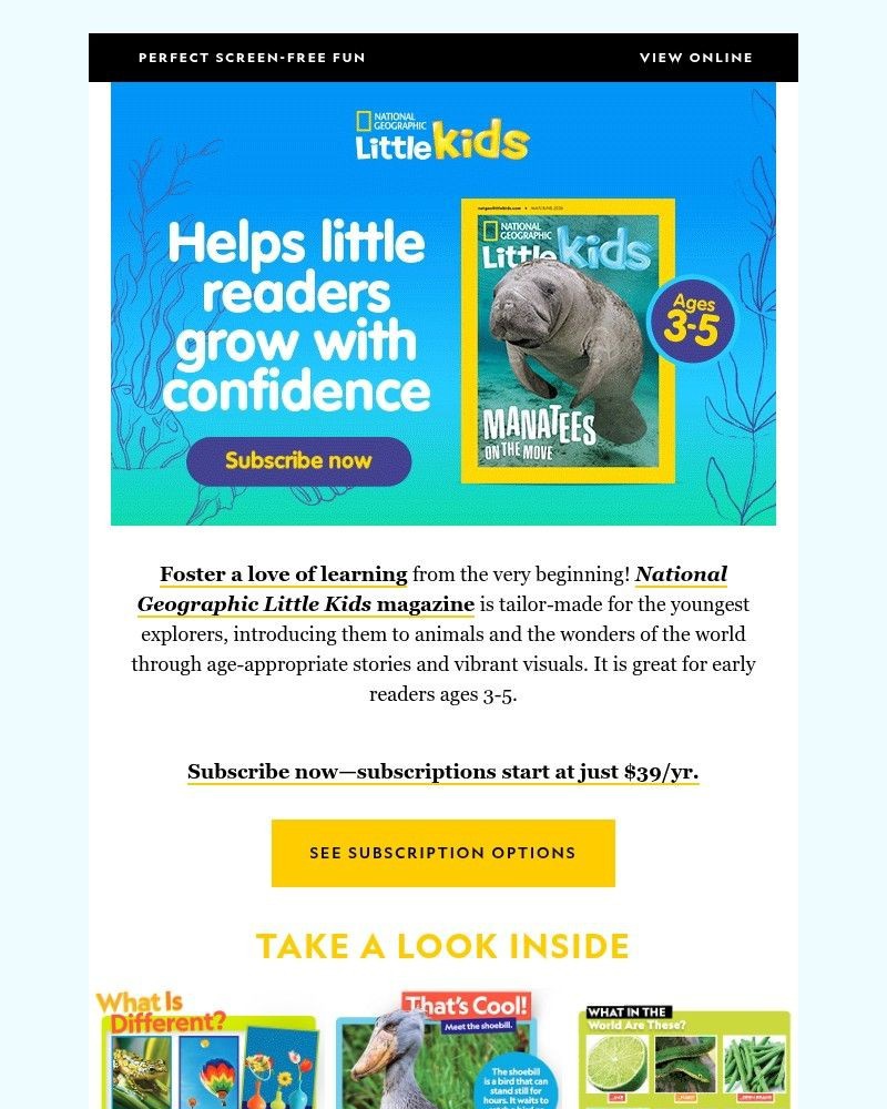 Screenshot of email with subject /media/emails/big-discoveries-for-little-learners-only-39yr-32beb5-cropped-bdf156aa.jpg
