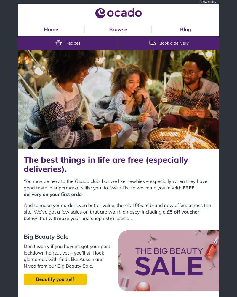 Screenshot of email with subject /media/emails/big-sales-voucher-free-delivery-e402ce-cropped-e8918091.jpg