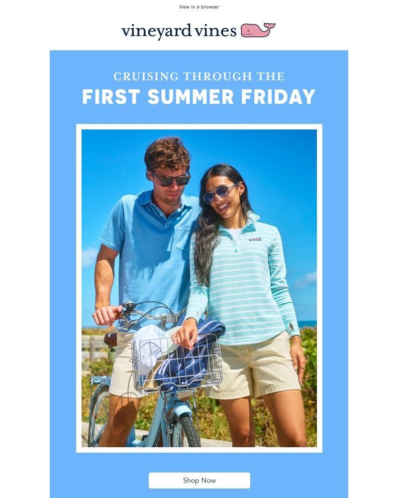 Screenshot of email sent to a Vineyard Vines Newsletter subscriber