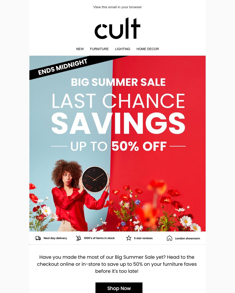 Screenshot of email with subject /media/emails/big-summer-sale-ends-midnight-9a4a49-cropped-11a8b258.jpg