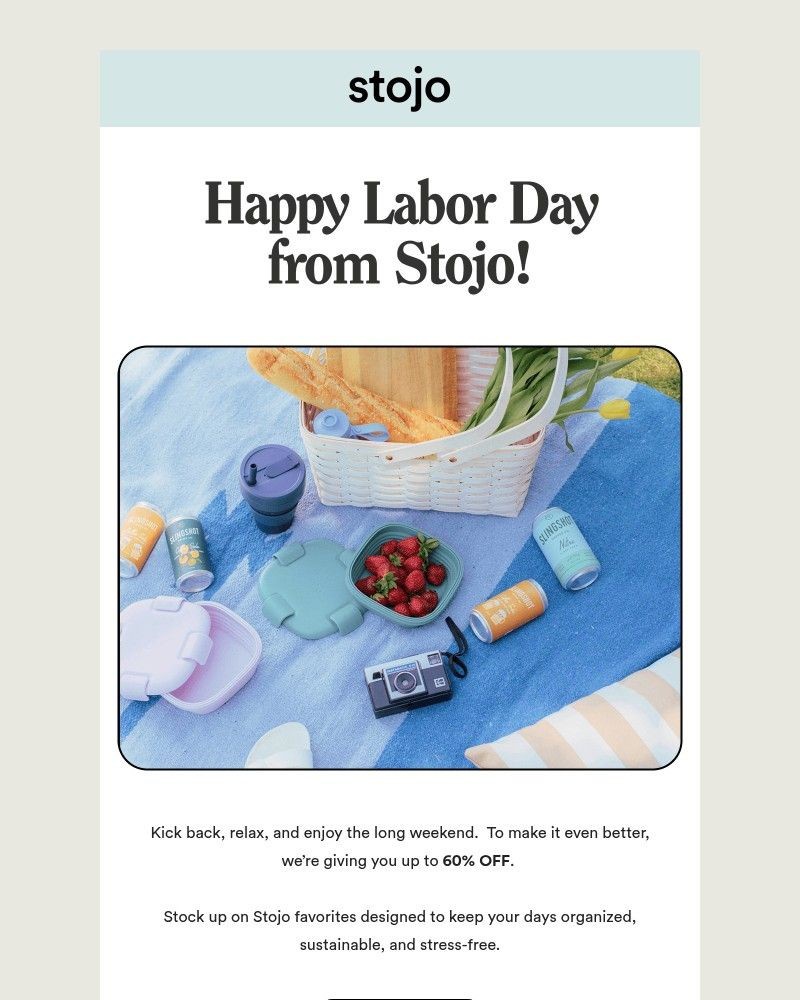 Screenshot of email with subject /media/emails/biggest-sale-ends-soon-dont-miss-a58c5a-cropped-654c11da.jpg