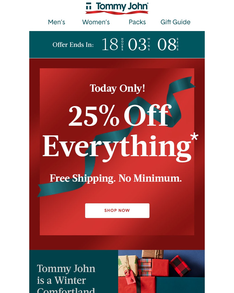 Screenshot of email with subject /media/emails/biggest-sale-ever-is-on-get-25-off-and-free-shipping-cropped-87c0f5d8.jpg