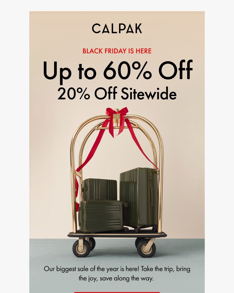 Screenshot of email with subject /media/emails/biggest-sale-of-the-year-d6f356-cropped-abad640c.jpg