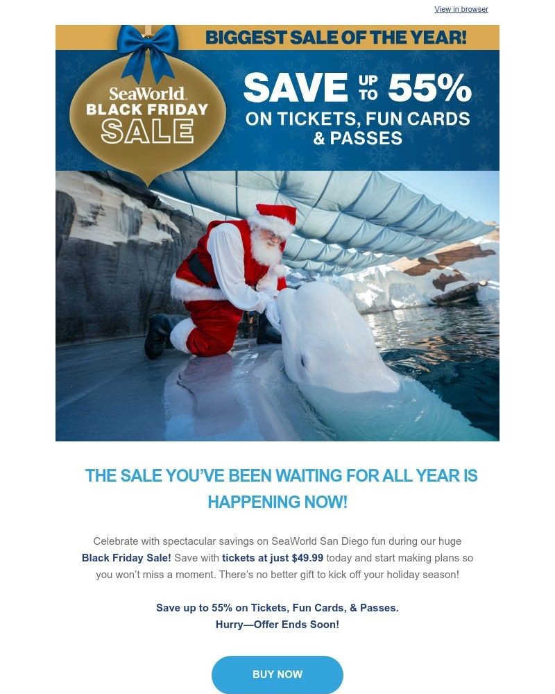 Screenshot of email sent to a Sea World Newsletter subscriber