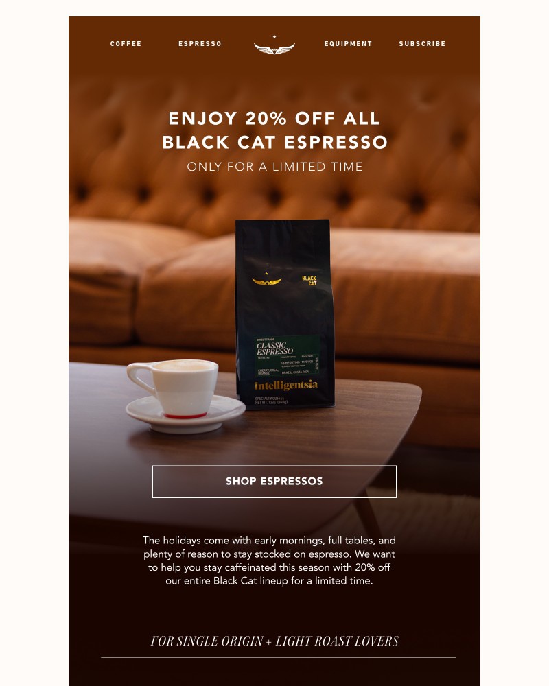 Screenshot of email sent to a Intelligentsia Newsletter subscriber