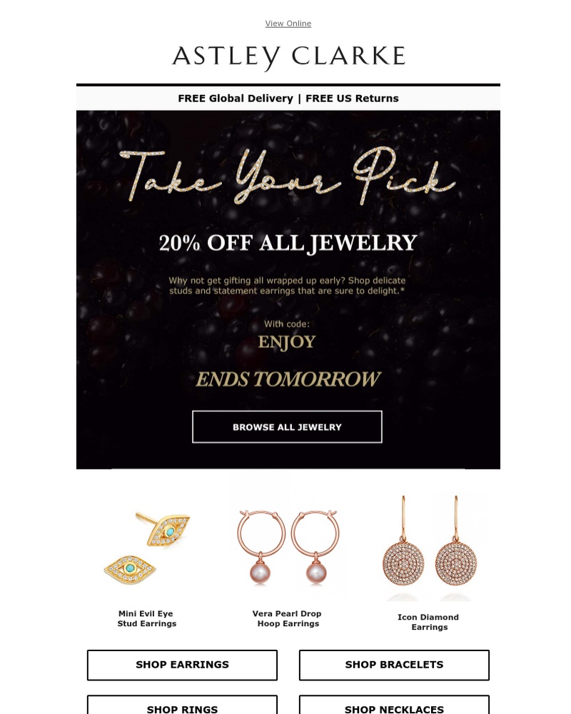 Screenshot of email with subject /media/emails/black-friday-20-off-ends-tomorrow-cropped-41a65433.jpg
