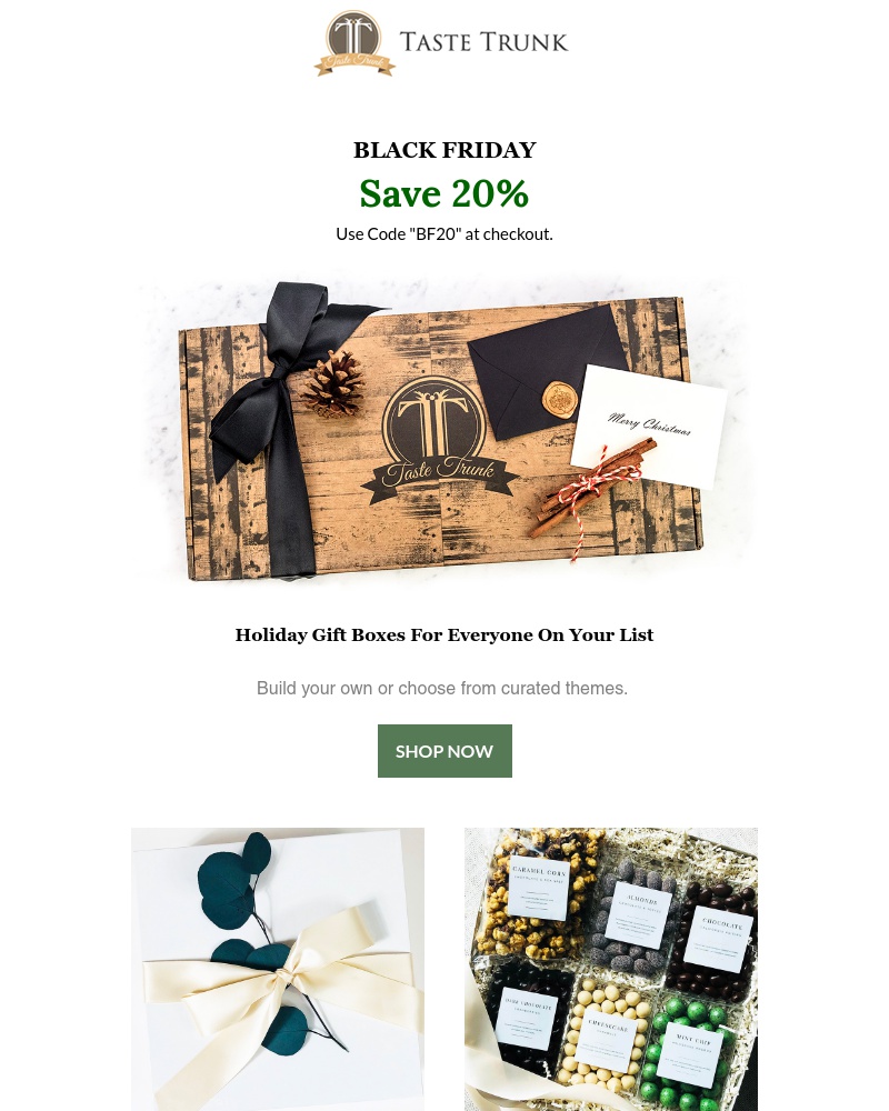 Screenshot of email with subject /media/emails/black-friday-20-off-your-purchase-cropped-14679499.jpg