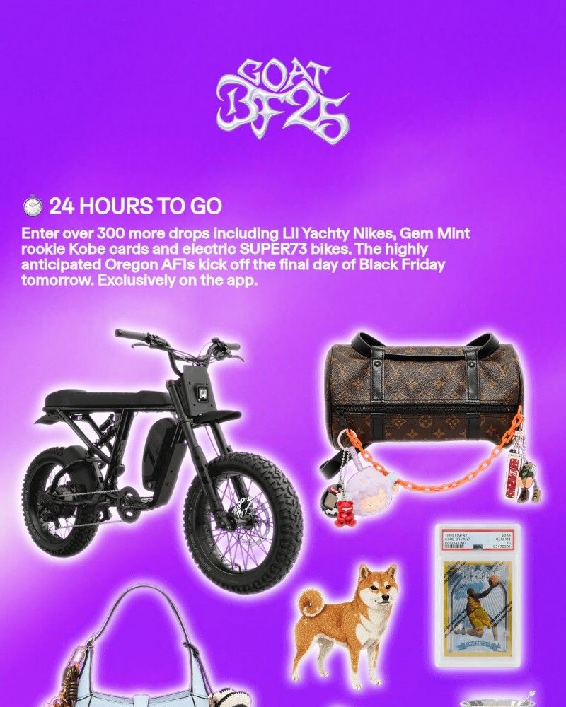 Screenshot of email with subject /media/emails/black-friday-24-hours-to-go-342918-cropped-b577c428.jpg