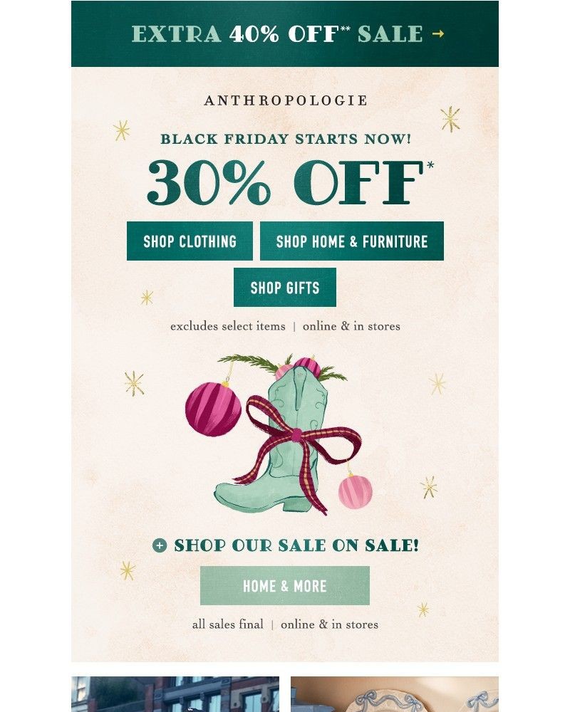 Screenshot of email with subject /media/emails/black-friday-30-off-everything-eb3769-cropped-fe989c8b.jpg