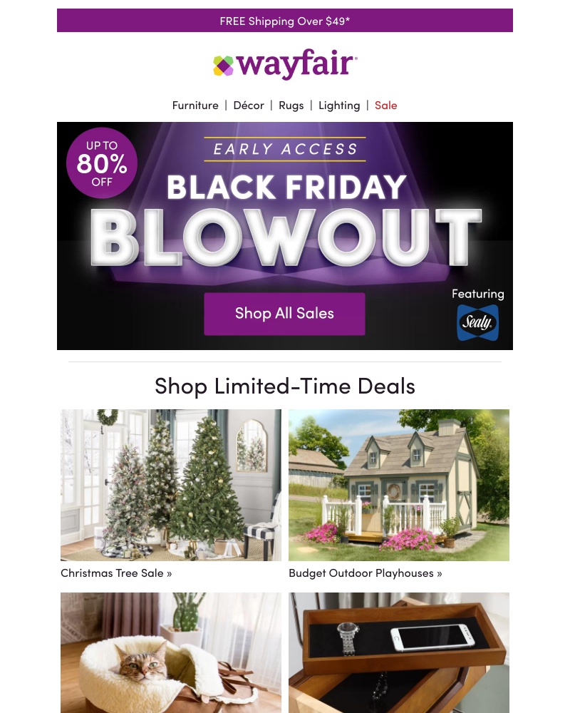 Screenshot of email with subject /media/emails/black-friday-blowout-early-access-cropped-7045c23e.jpg