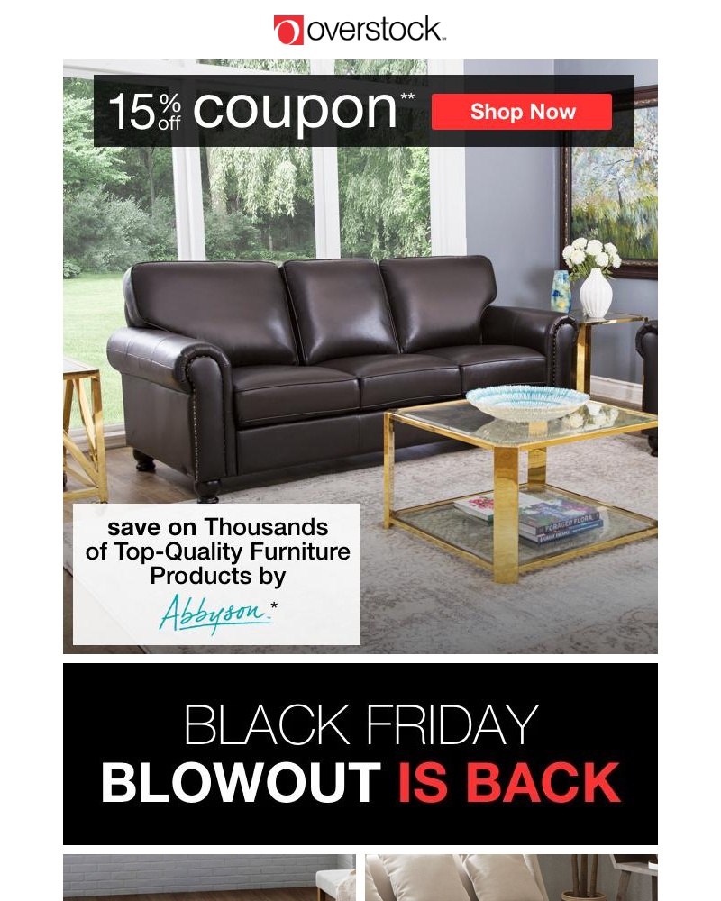 Screenshot of email with subject /media/emails/black-friday-blowout-ends-soon-dont-miss-your-chance-for-awesome-savings-cropped-e88082b6.jpg