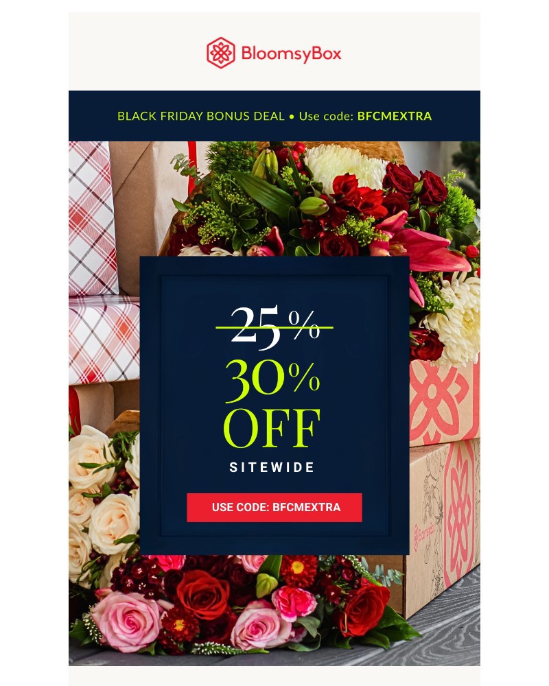 Screenshot of email with subject /media/emails/black-friday-bonus-sale-take-30-off-debf8c-cropped-f5497e6c.jpg