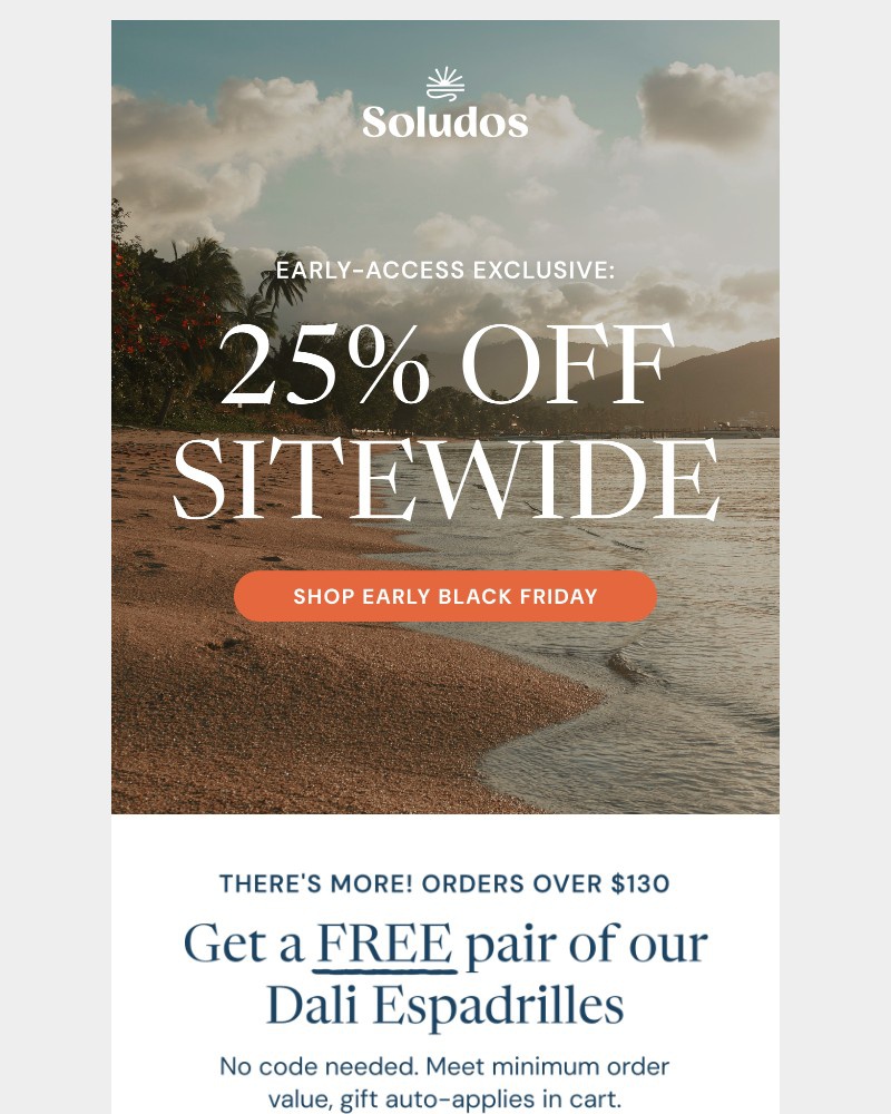 Screenshot of email with subject /media/emails/black-friday-came-early-a71d91-cropped-0651e416.jpg