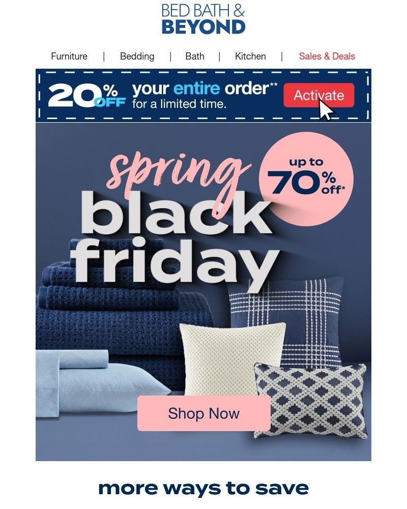 Screenshot of email with subject /media/emails/black-friday-came-early-this-year-eba2df-cropped-ea98ea31.jpg