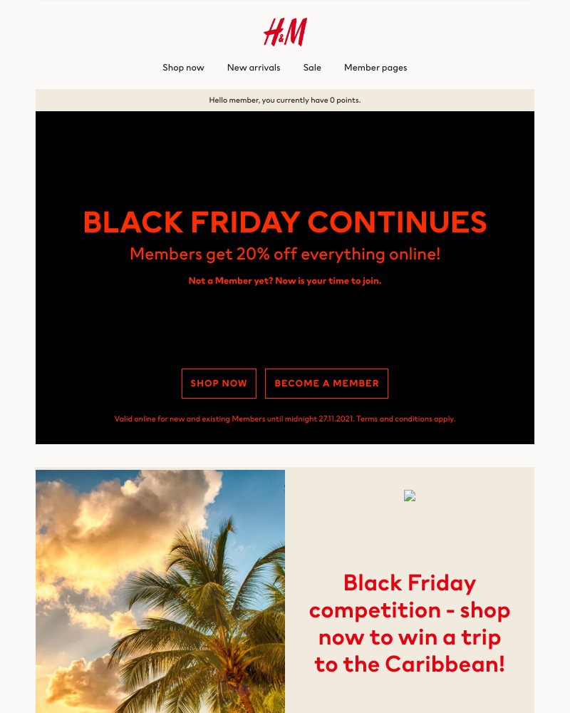 Screenshot of email with subject /media/emails/black-friday-continues-online-d83b00-cropped-8502e626.jpg