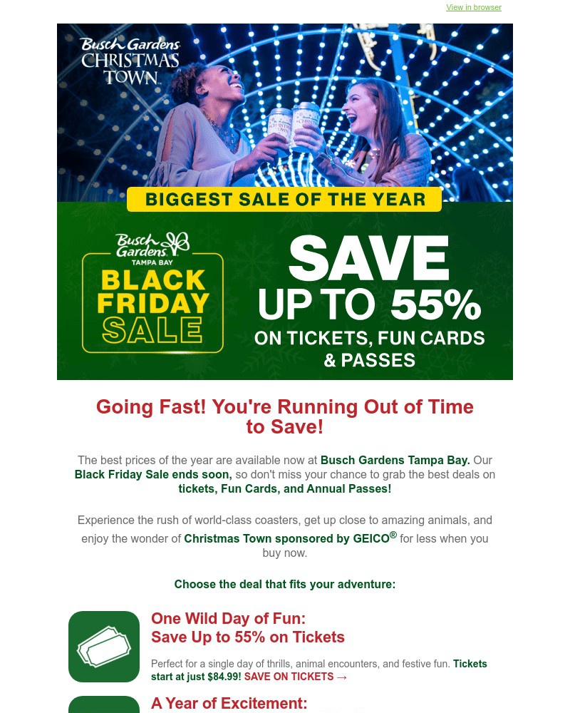 Screenshot of email sent to a Busch Gardens Newsletter subscriber