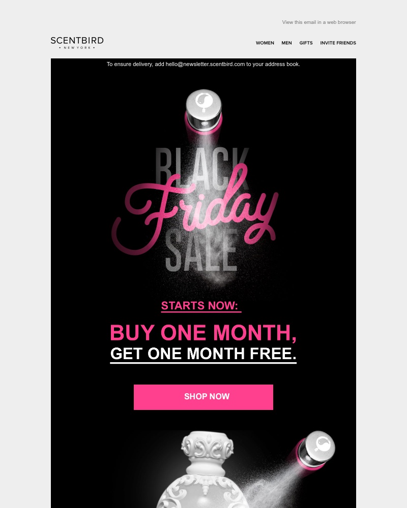 Screenshot of email with subject /media/emails/black-friday-deal-get-a-month-free-this-way-cropped-1371d1dc.jpg