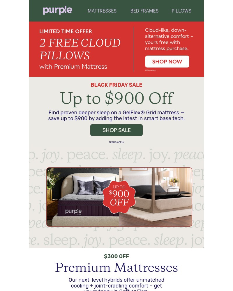 Screenshot of email with subject /media/emails/black-friday-deal-up-to-900-off-a-new-mattress-and-base-13e81f-cropped-5484bb14.jpg