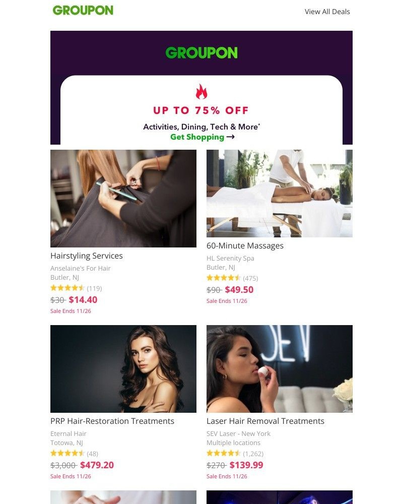 Screenshot of email with subject /media/emails/black-friday-deals-819f5c-cropped-9c328876.jpg