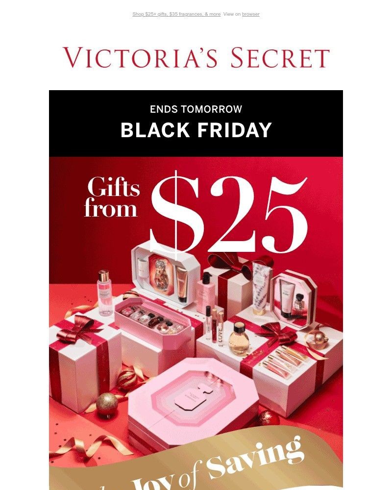 Screenshot of email with subject /media/emails/black-friday-deals-are-going-fast-42826f-cropped-0b126804.jpg