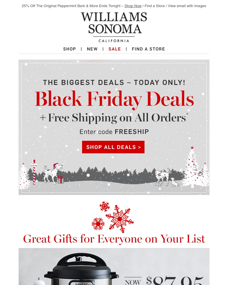 Screenshot of email with subject /media/emails/black-friday-deals-the-holiday-gift-guide-is-here-1-cropped-7bbd2ec8.jpg