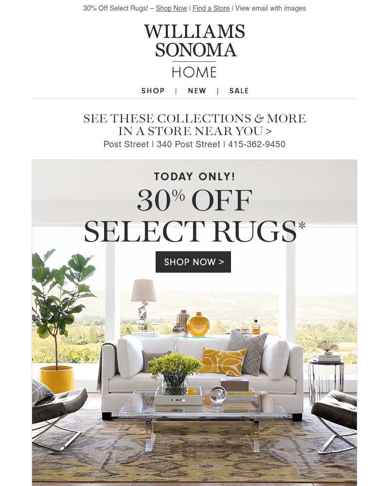 Screenshot of email with subject /media/emails/black-friday-early-access-30-off-rugs-today-only-in-stock-ready-to-ship-cropped-977b5f39.jpg