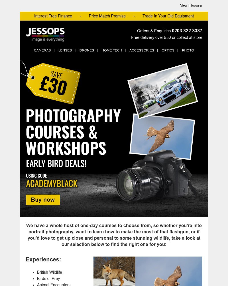 Screenshot of email with subject /media/emails/black-friday-early-bird-deals-on-courses-workshops-save-30-a72507-cropped-08f08a94.jpg