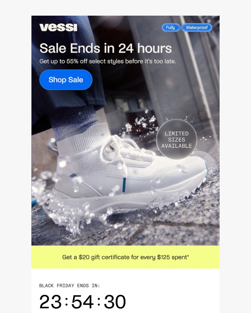 Screenshot of email with subject /media/emails/black-friday-ends-soon-less-than-24-hours-left-9b59dc-cropped-467e0825.jpg