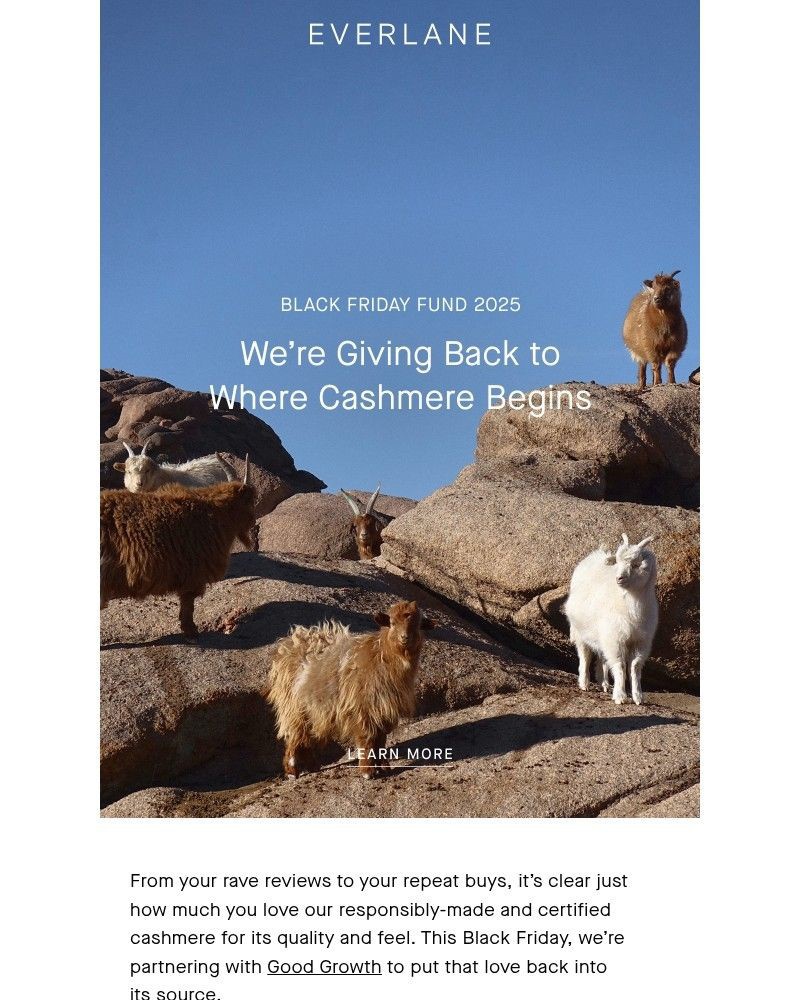 Screenshot of email with subject /media/emails/black-friday-fund-2025-cc3eef-cropped-f6a6ffe1.jpg