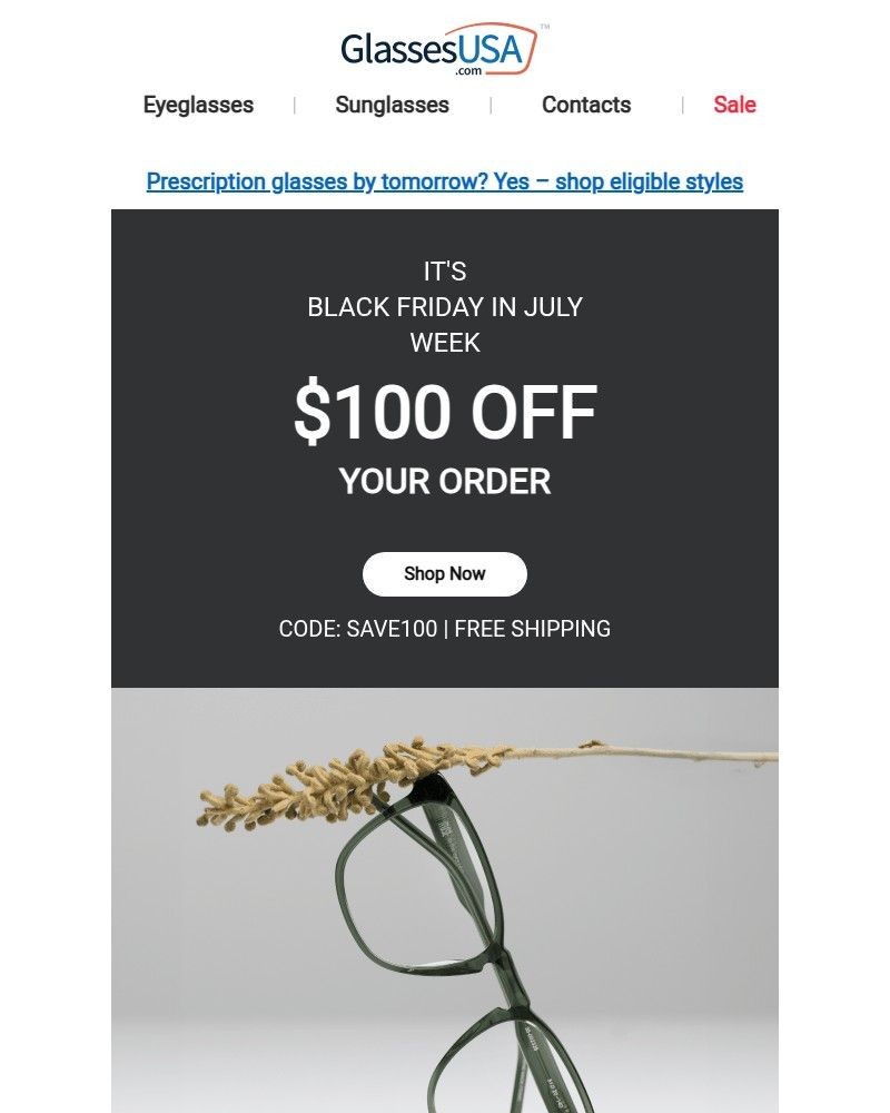 Screenshot of email with subject /media/emails/black-friday-in-july-deals-are-here-a87cbb-cropped-9dbb5d9e.jpg