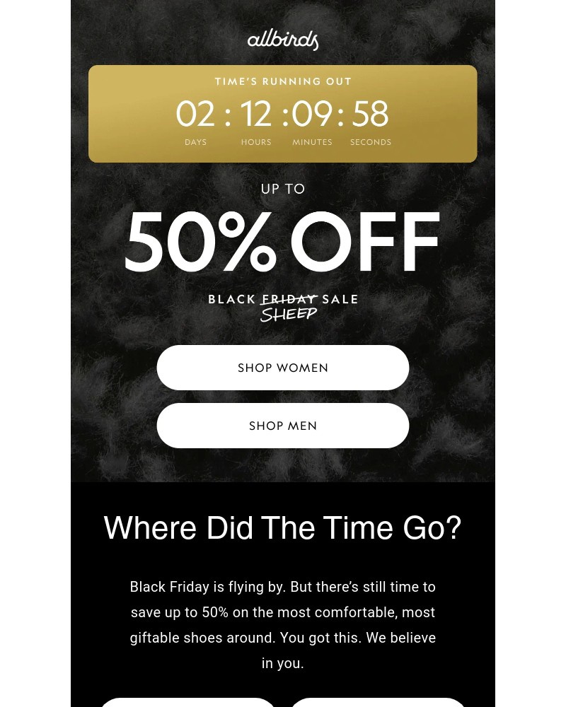 Screenshot of email with subject /media/emails/black-friday-is-flying-by-87c7c8-cropped-bced329e.jpg