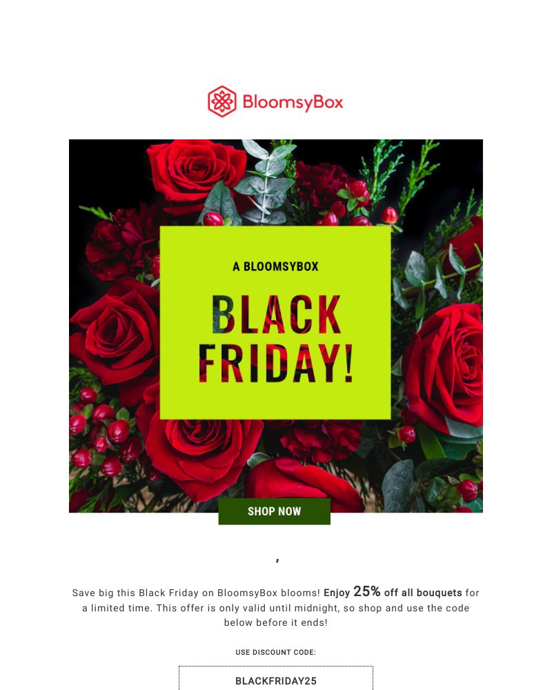 Screenshot of email with subject /media/emails/black-friday-is-here-25off-2e27f5-cropped-4766c618.jpg