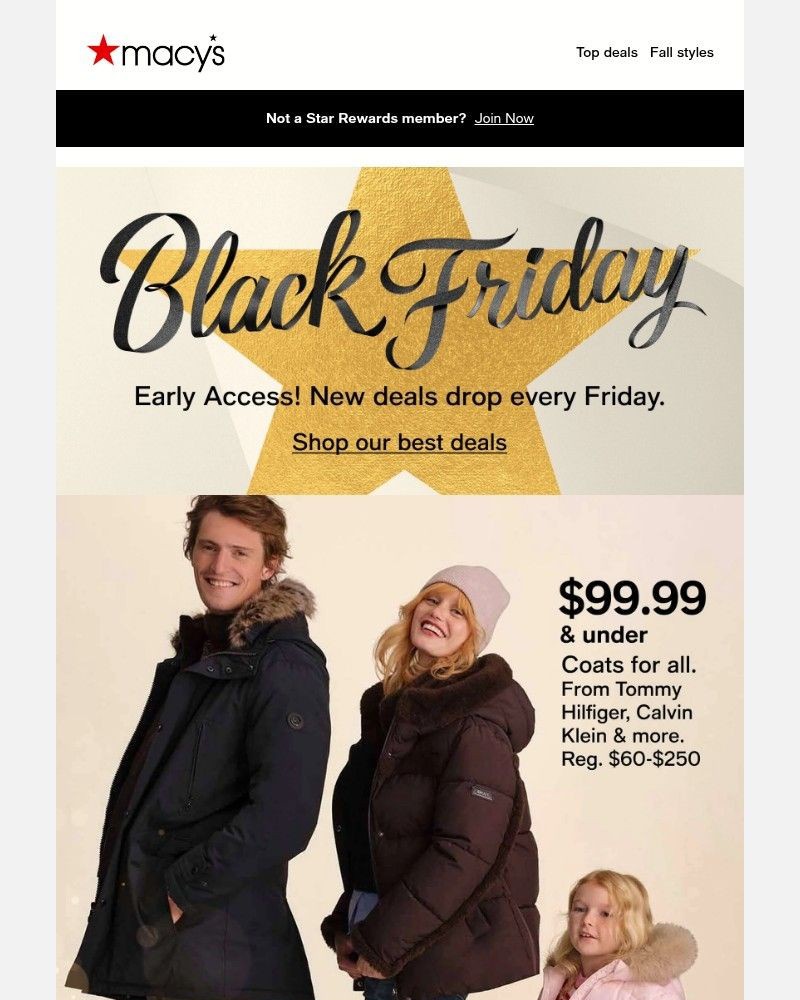 Screenshot of email with subject /media/emails/black-friday-is-here-44773d-cropped-72f77cca.jpg
