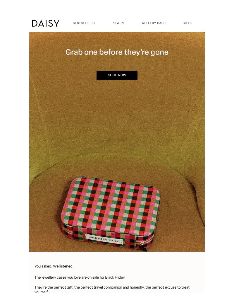 Screenshot of email with subject /media/emails/black-friday-jewellery-cases-0d048c-cropped-fdecdfff.jpg