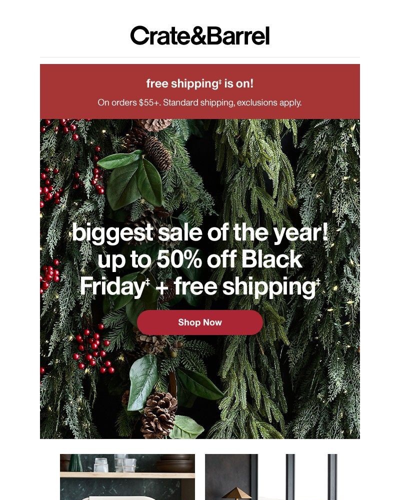 Screenshot of email with subject /media/emails/black-friday-just-got-even-better-shop-up-to-50-off-fdf978-cropped-79827bf4.jpg