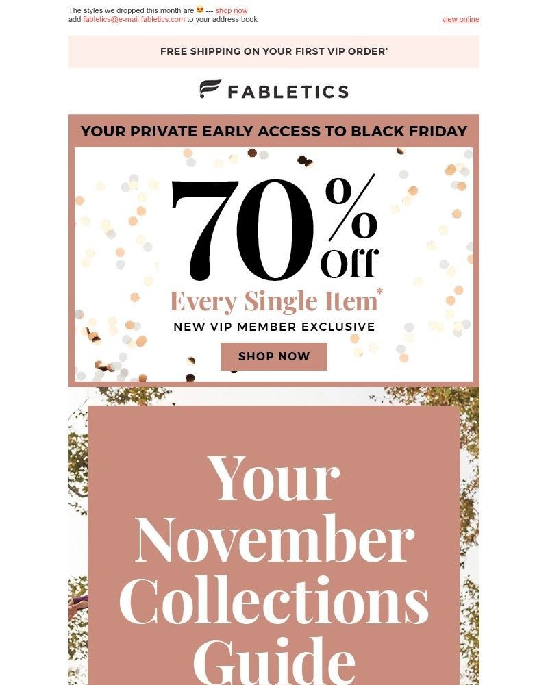 Screenshot of email with subject /media/emails/black-friday-month-70-off-new-collections-c9c9c6-cropped-3027e086.jpg