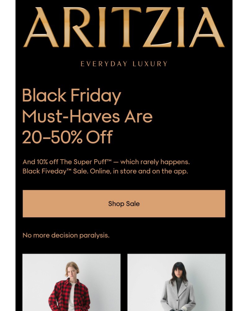 Screenshot of email sent to a Aritzia Newsletter subscriber