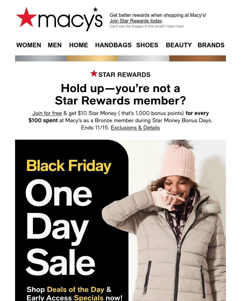 Screenshot of email with subject /media/emails/black-friday-one-day-sale-amazing-deals-are-here-shop-now-it-wont-last-a9774b-cro_UADDEvz.jpg