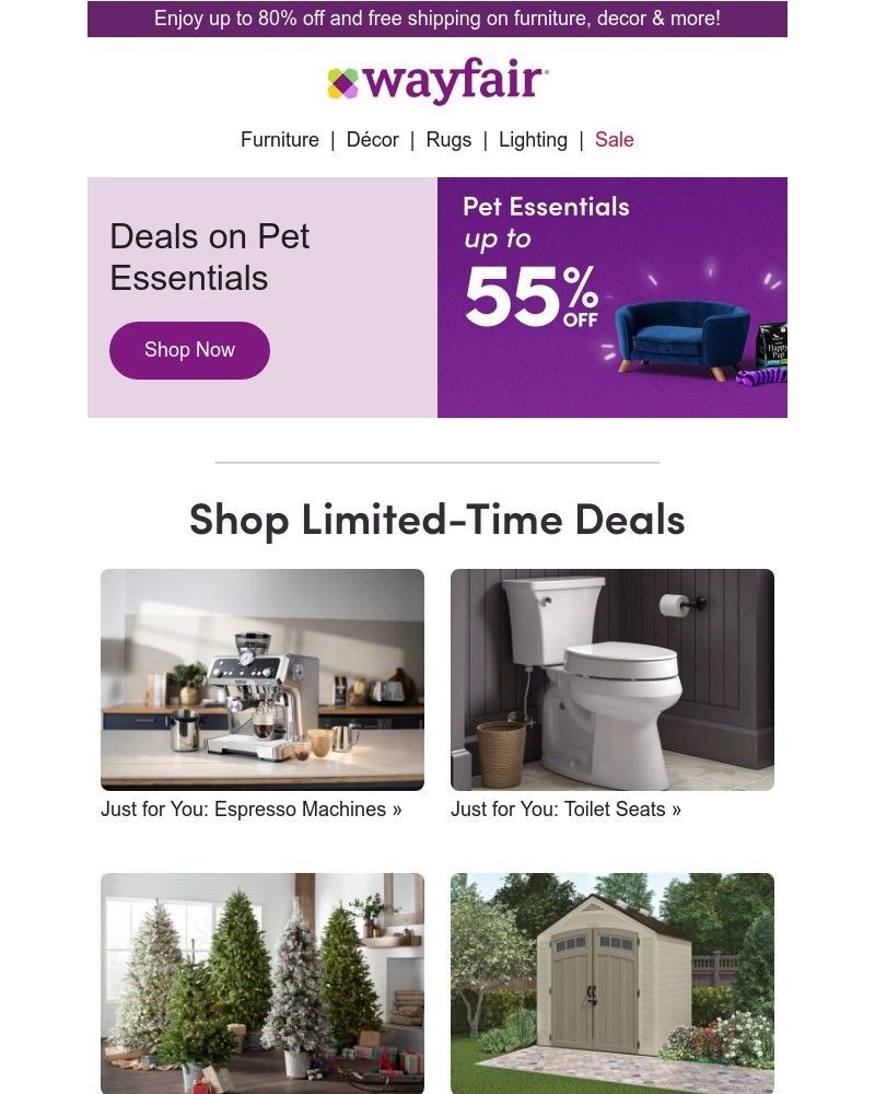 Screenshot of email with subject /media/emails/black-friday-pet-essentials-5ce08a-cropped-0ef4ea58.jpg