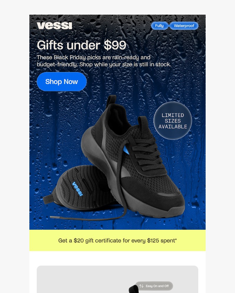 Screenshot of email with subject /media/emails/black-friday-picks-under-99-e4c883-cropped-8ed58d8b.jpg